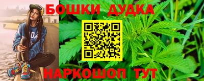 стаф Обь