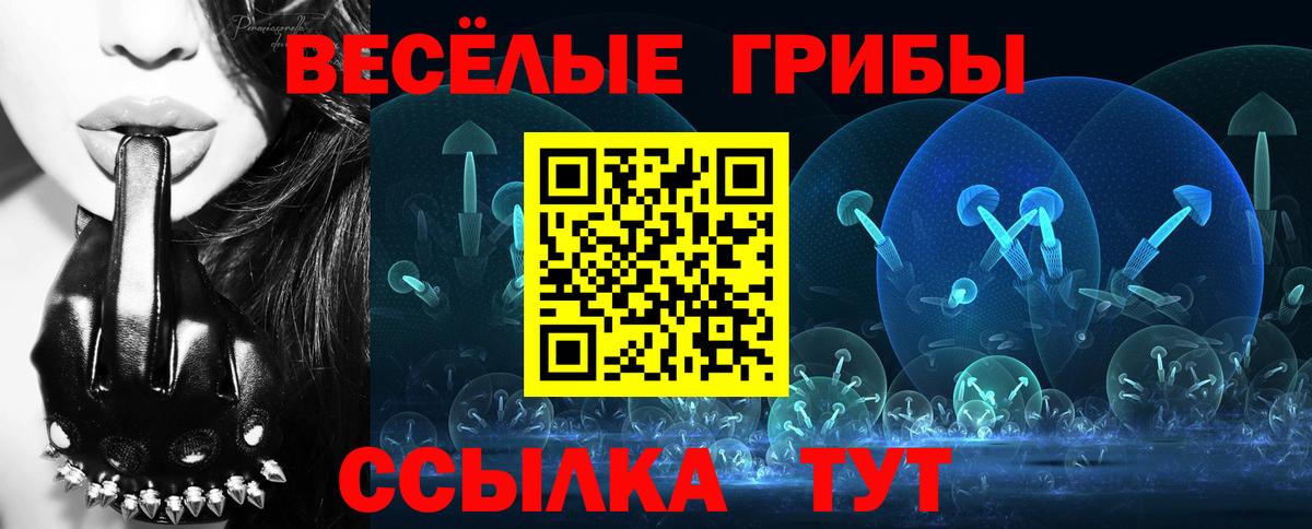 Галлюциногенные грибы ЛСД Славгород