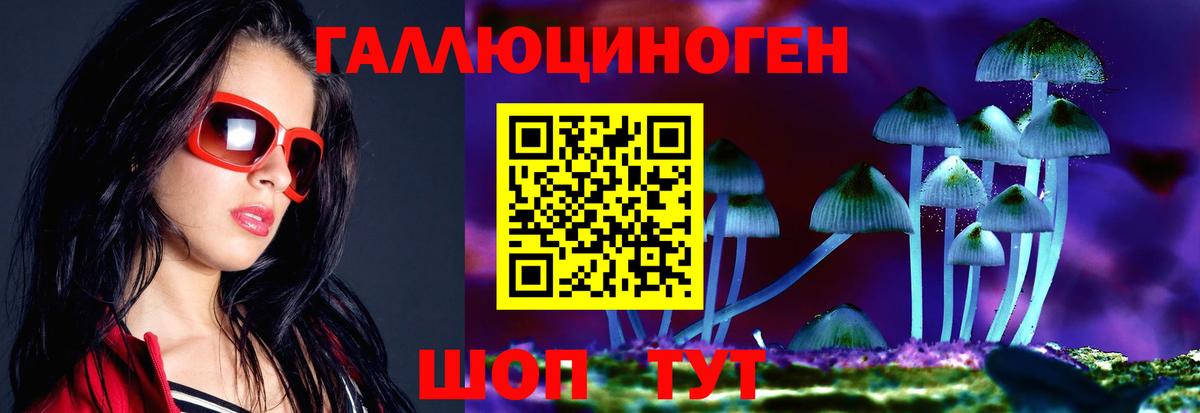 Славгород  Псилоцибиновые грибы MAGIC MUSHROOMS  Вход с VPN 